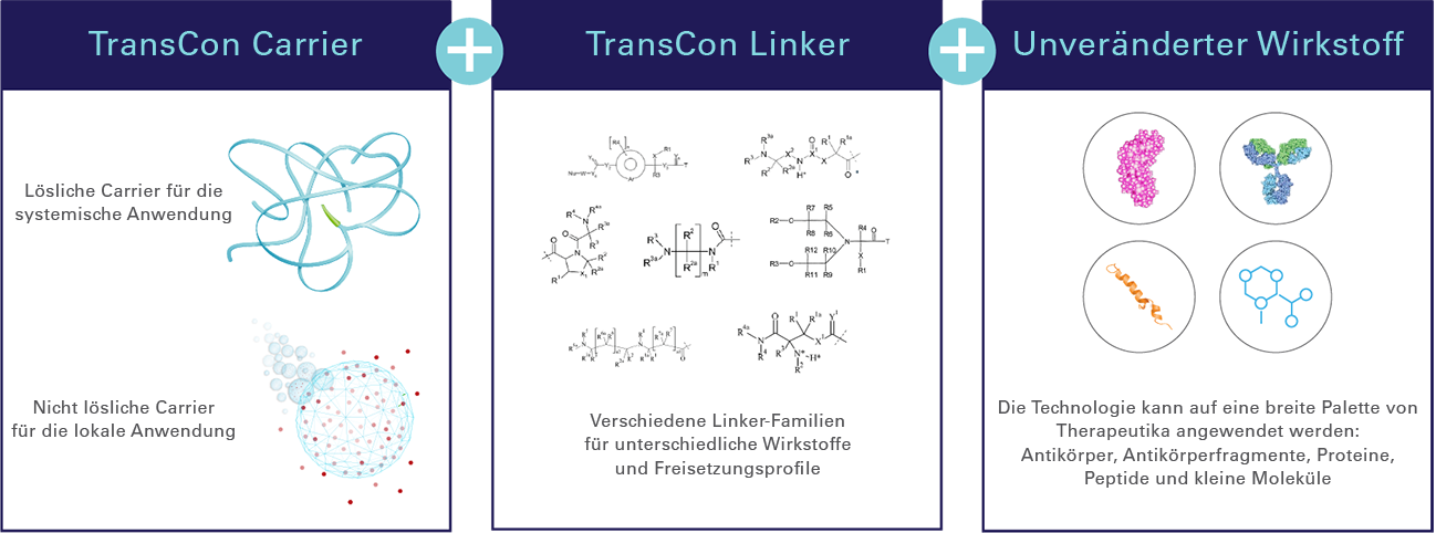 20230807_Technology_Transient_Conjugation_Graphic_v2_DE