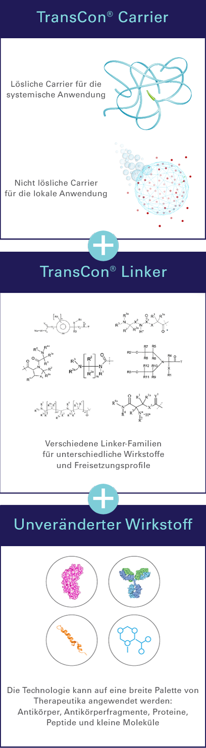 20230824_Technology_Transient_Conjugation_Vertical_Graphic_v1